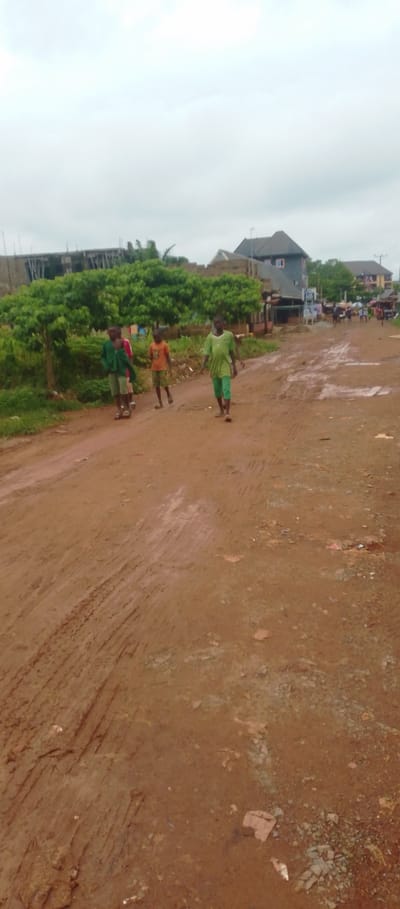 The image depicts a rural scene in Achara Ndiagu Omegio, Nigeria, under an overcast sky, suggesting a cloudy or rainy day. The foreground is dominated by a muddy, unpaved road with visible tire tracks, indicating recent vehicular activity and likely wet conditions.
Several individuals, appearing to be children, are walking on the road. One child in a bright green t-shirt and pants is in the mid-right of the frame, walking towards the viewer. To the left, a group of three children are walking away from the viewer. One child wears a green shirt and shorts, another a red shirt, and a third, slightly further back, is wearing an orange t-shirt and shorts.
In the background, there are signs of development and settlement. Construction is underway on a building to the far left, with exposed rebar and scaffolding. Further down the road, several buildings are visible, some appearing to be residential structures with tiled roofs, while others seem to be shops or small businesses. Lush green vegetation lines the left side of the road, contrasting with the earthy tones of the road and buildings. The overall impression is one of a community in a developing area, with daily life unfolding on a muddy, informal road. No text is clearly legible in the image.