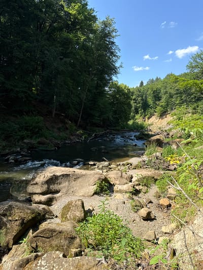A clear, sunny day in Irrel, Germany, showcases a natural landscape featuring a flowing river and lush green trees. The river, a focal point, winds through the scene, with visible rapids and submerged rocks. Its banks are lined with a mix of large, moss-covered boulders and smaller stones, interspersed with vibrant green vegetation and patches of bare earth.

To the left of the river, a steep, tree-covered embankment rises, with dense foliage creating a dark, shaded area. Sunlight filters through the canopy, dappling the forest floor. To the right of the river, the bank is less steep and features a mix of exposed earth, smaller rocks, and more abundant green plants. The river itself is the primary subject, its movement suggested by the white foam of the rapids. The overall environment is one of natural beauty, with the river carving its path through the forested terrain. The sky above is a bright blue, with a few scattered white clouds. No people are visible in the image.