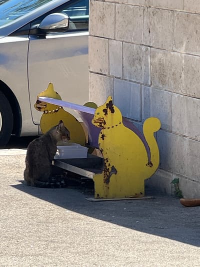 A medium shot depicts a cat nestled beside a decorative, multi-colored cat-shaped bicycle rack near a white car, presumably in the Zvulun Regional Council, Israel. The rack is fashioned from yellow and purple metal sheets and appears weathered with signs of rust. The cat, a grey tabby, sits in the shade cast by the rack. A portion of the white car is visible to the left, including the side mirror and a tire. The scene is set on a paved area, with the pavement pattern noticeable in the background.
