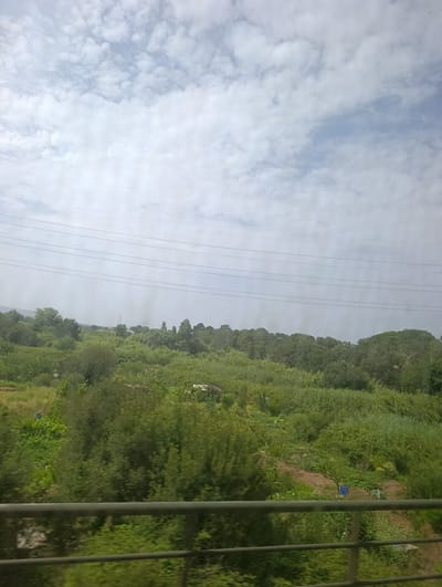 The image captures a rural landscape with dense green vegetation, likely fields and trees, under a cloudy sky. Several parallel power lines stretch horizontally across the upper portion of the scene, indicating infrastructure nearby. In the foreground, a metal railing suggests the vantage point is from a bridge or elevated walkway. The overall impression is one of a natural environment interspersed with human-made elements. The scene is consistent with the outskirts of Palhais e Coina, Portugal, where green spaces and overhead power lines are common.