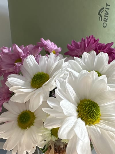 A close-up, eye-level shot displays a bouquet of flowers with a light green background. The bouquet consists of white daisies with yellow-green centers and some pinkish-purple flowers in the background. The white daisies are in the foreground, with their petals prominently featured. The pinkish-purple flowers are blurred and positioned behind the white daisies. The background is a plain, muted light green. In the upper right portion of the background, a logo with the word "CRIVIT" is visible in a dark color. The scene appears to be indoors, given the lighting and backdrop. No people are present in the image. The specific location in Moortown, Ireland cannot be determined from the provided image.