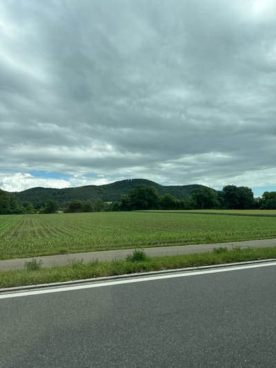 The image displays a scenic rural landscape, likely captured from a moving vehicle or an elevated position beside a road, in Zurzach, Switzerland. The perspective suggests a view looking along a road that runs parallel to fields and a mountain range.

In the foreground, a dark asphalt road occupies the bottom right portion of the frame, featuring a solid white line and a broken white line marking its edge. Adjacent to the road is a narrow strip of green grass, followed by a paved path. To the left of the path, a broad, cultivated green field stretches horizontally across the midground. Distinct rows of young crops are visible, indicating agricultural activity.

Beyond the fields, a chain of dark green, densely forested hills or mountains forms the background, their peaks rising against the sky. The sky itself is a prominent feature, largely covered by varied grey clouds, with some patches of lighter blue visible, suggesting a partly cloudy or overcast day. There are no people, animals, or specific activities depicted. The scene is calm and natural, capturing a tranquil daytime moment in a picturesque countryside setting. No discernible text is present in the image.