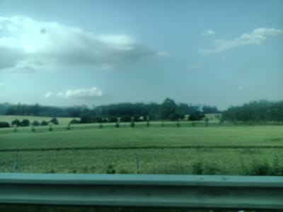 The image captures a landscape scene from a moving vehicle, likely a car, given the presence of a metal barrier in the foreground. The scene depicts a vast, green field stretching towards a distant line of trees that forms a natural horizon. The sky above is a pale blue with scattered, wispy clouds, suggesting it is daytime, possibly late morning or early afternoon. The overall impression is one of a serene, rural setting in Šternov, Czechia. The fields appear cultivated, with subtle lines indicating rows or divisions within the greenery. The trees in the distance are dense and appear to form a forest or a thick hedgerow. There are no people or specific objects of interest visible beyond the natural elements and the man-made barrier. The image is slightly blurred, consistent with being taken from a moving vehicle, and lacks any discernible text. The weather appears to be mild, with no strong indications of rain or harsh sunlight. The mood conveyed is tranquil and observational, as if the viewer is passing through this landscape.