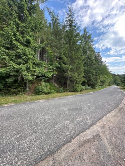 The image shows an asphalt road curving to the right, bordered by a dense forest on the left and a grassy shoulder on the right. The forest consists of tall evergreen trees, primarily spruce and pine, with some undergrowth visible at the base. The sky above is blue with scattered white clouds. The road surface is dark gray with visible small pebbles. The scene appears to be a rural or natural setting, likely a forest road in or around Chełmsko Śląskie, Poland, based on the context provided, though the image itself does not contain any specific location markers. There are no people or vehicles present in the image.