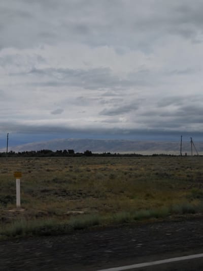 An overcast sky with heavy clouds hangs over a vast, flat landscape. In the foreground, a dark asphalt road runs horizontally across the bottom of the frame, with a white line marking its edge on the right. To the left of the road, a white post with a yellow marker stands in a field of dry, brown grass and scattered green vegetation. In the mid-ground, a line of dark, silhouetted trees stretches across the horizon, with more sparse vegetation in front of them. Beyond the trees, a hazy, distant mountain range dominates the background, its muted colors blending with the sky. Two wooden poles, one upright and one leaning precariously, are visible on the far right of the mid-ground. The overall scene suggests a rural or undeveloped area, possibly a roadside in the city of Üşaral, Kazakhstan, given the environmental conditions and the presence of road markers. There are no people or active interactions depicted in the image.