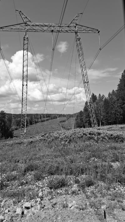 The black and white image captures a vast, open landscape dominated by a towering electricity pylon. The pylon, a skeletal metal structure, supports numerous electrical wires that stretch across the frame, disappearing into the distance. The ground in the foreground is a dense field of wild grasses and small wildflowers, with scattered stones and rough terrain. Behind the pylon, the land slopes upwards, covered in a mix of low-lying vegetation and a dense forest of coniferous trees. The sky is a mix of light and dark clouds against a pale backdrop, suggesting either an overcast day or the stark contrast of a black and white photograph. The scene is devoid of any human presence or activity. This image is of a transmission tower in a natural landscape.