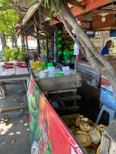 The image depicts an outdoor stall in Santan, Indonesia, likely selling coconuts and beverages. The stall is constructed with a mix of wood and metal, covered by a corrugated metal roof. Several green coconuts are piled on a wooden table in the foreground to the left. A stack of red plates is also visible on this table.
Behind the table, a wooden counter displays various items, including a yellow container, green cups, a glass with liquid, and a coconut. Further back, green cups are hanging on a rack, and more coconuts are stored in a wooden crate. A person wearing a blue shirt is visible in the background, seated behind the counter.
A large red banner advertising "Teh Pucuk Harum" is prominently displayed on the left side of the image. To the right, a blue cooler and a light-colored plastic stool are present. The ground appears to be concrete with scattered dry leaves. The scene is lit by natural sunlight, casting shadows from the trees and the stall structure.