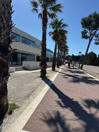 A sunlit promenade in Makarska, Croatia, features a modern, white, multi-story building with large glass windows on the left, bordered by a concrete walkway. Several palm trees line the walkway, casting long shadows on the red hexagonal-tiled path that extends into the distance. A few people are walking along the promenade, including a couple with a stroller. A lamppost stands on the right side of the path, beyond which lies a pebble beach and a forested area with pine trees. The sky is clear and blue.