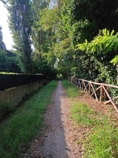 The image depicts a dirt path surrounded by lush vegetation and trees, suggesting a natural or park-like setting. On the left side of the path, a concrete wall topped with a dark fence is visible, separating the path from a lower area with dense green foliage. On the right, a rustic wooden fence with diagonal supports runs along the path, bordered by dry leaves and scattered green grass. The path itself is composed of gravel and dirt, winding into the distance where it is further enclosed by trees. The sunlight indicates it is daytime, casting shadows and highlighting the textures of the natural elements. This path resembles a walking or cycling trail often found in parks or along the outskirts of urban areas, potentially like those found in the Parco della Resistenza or along the river Secchia in the province of Modena, Italy.
