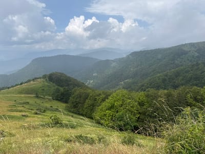 The image depicts a mountainous landscape under a cloudy sky, likely in or near Hristo Danovo, Bulgaria. The foreground features a grassy hillside with tall dry grasses and wildflowers. Beyond this, the terrain slopes upward, covered in lush green vegetation and trees. Further in the distance, layers of rolling hills and mountains recede into a hazy, blue-toned atmosphere, characteristic of a panoramic mountain view. The sky is a mix of blue patches and white cumulus clouds, some of which are large and textured. There are no people, structures, or man-made objects visible in the scene. The overall impression is one of natural, untamed wilderness.