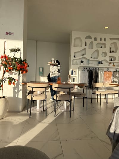 Here is a description of the image.

The image shows the interior of a retail space, possibly a clothing or accessory boutique in Kedisan, Indonesia. The space has a modern and clean aesthetic with white walls and light-colored tile flooring.

To the left, a wall display with organically shaped recessed shelves holds various decorative items, including small plants, vases, and sculptural objects. Clothing items hang on racks along the back wall.

A central area features a series of tables with tall, upholstered stools. A person in casual wear and a wide-brimmed hat stands behind one of the tables, interacting with it.

In the lower left corner, there is a potted plant with vibrant orange flowers. A "Non Smoking Area" sign is visible on the wall near the plant.

The room is brightly lit with natural light streaming in from the right side of the frame.
