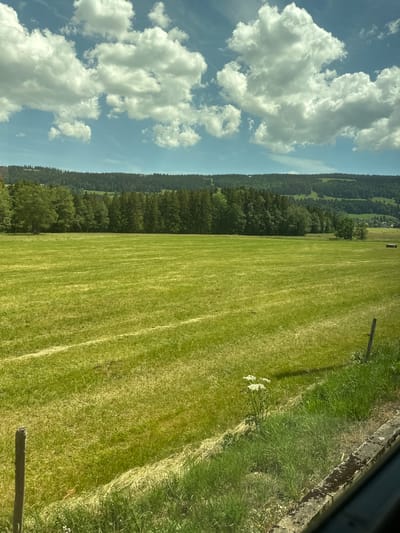 This media file shows a rural landscape in Le Sentier, Switzerland. The scene is dominated by a wide, sunlit meadow of freshly cut green grass. The grass is mowed in neat rows, suggesting recent activity. In the distance, a dense, dark green forest lines the base of rolling hills, which are covered in more trees and appear to be part of a mountainous terrain. The sky above is a vibrant blue, dotted with fluffy white cumulus clouds. The lighting suggests it is daytime, likely midday or early afternoon, given the bright sunlight casting shadows. The overall atmosphere is peaceful and serene, evoking a sense of nature's beauty and tranquility. A few small, white wildflowers are visible in the foreground near a stone border. There are also a couple of wooden fence posts visible, one in the mid-ground and another closer to the foreground, indicating the edge of a field or property. No people or specific events are depicted; the focus is on the natural landscape. There is no visible text in the image.