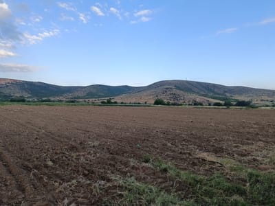 The image shows a wide, plowed field in the foreground, with the soil appearing dark brown and somewhat clumpy, exhibiting visible furrows from agricultural machinery. Sparse, dry grass and some green tufts are scattered across the field, particularly in the lower right corner. In the mid-ground, a line of trees and vegetation marks the transition to a hilly landscape. The hills dominate the background, with their slopes covered in scrub and scattered trees, appearing dry and arid in some areas. The sky above is a clear, pale blue, with a few wispy white clouds scattered towards the left side of the frame. A cellular tower is visible on the crest of the farthest hill on the right. The overall impression is a rural, agricultural landscape under a clear sky, likely situated in the vicinity of Kurtovo Konare, Bulgaria. There are no people or discernible actions taking place.