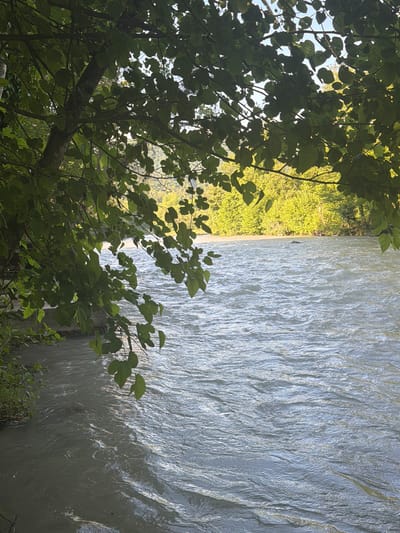 The image depicts a wide, fast-flowing river, likely the Bzyb River, with murky, grayish-brown water. The riverbank on the left side is visible, with some vegetation and what appears to be a concrete structure. Overhanging branches with green leaves frame the top and left side of the scene, creating a dappled effect as sunlight filters through. In the distance, across the river, a densely wooded hillside is bathed in bright sunlight, with lush green trees. The overall impression is of a natural, somewhat wild landscape, characteristic of the Abzhanda area of Abkhazia. No people or animals are visible in the image.