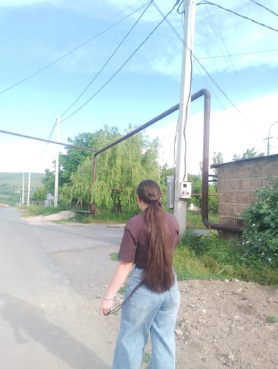 A young person with long, dark brown hair pulled into a ponytail stands facing away from the camera, looking down a paved road in the village of Nor Geghi, Armenia. They are wearing a dark maroon t-shirt and light blue wide-leg jeans. A dark strap hangs from their right hand. The road is flanked by a gravelly shoulder and a grassy area. In the background, a large weeping willow tree stands next to a light-colored utility pole with numerous wires running overhead and attached to it. A section of a brick building is visible to the right, partially covered by green foliage with some pink flowers. The sky is blue with scattered clouds.
