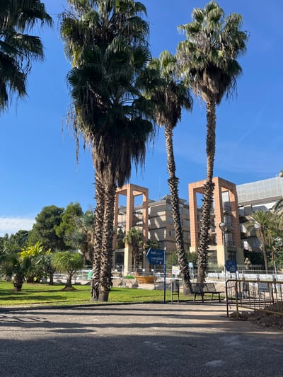 This image depicts an outdoor environment within the city of Paterna, Spain, likely near the University of Valencia Science Park. The foreground features a dark, granular ground surface exhibiting elongated shadows, indicating sunlight from the left. Beyond this, a manicured green lawn extends into the mid-ground.

Several tall palm trees with textured trunks and dense green fronds dominate the scene, with some fronds appearing desiccated. In the mid-ground, multi-story modern buildings are visible, characterized by prominent reddish-brown structural elements forming large, open archways. A taller, lighter-colored building stands behind these structures.

Objects include a blue directional sign with white text, reading "SEDI" and "uvocupació," pointing left. A similar blue sign is partially visible on the right. A dark metal slatted bench and a black cylindrical waste bin are positioned on the right side of the lawn. A light-colored, decorative or structural element is also present on the lawn. On the far right, yellow construction barriers and disturbed earth indicate an area of ongoing work. No individuals are present, and no actions or interactions are depicted within the scene.