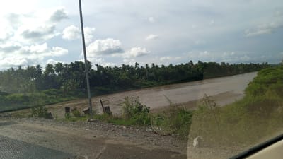 This is a wide-angle, eye-level, outdoor photograph taken from a vehicle, looking out over a wide, muddy river. The river dominates the mid-ground and extends into the distance, bordered on the left by a steep bank covered in dense palm trees and other tropical foliage. The right bank of the river is also covered in greenery, with a sandy bank visible in the foreground. The foreground on the left consists of a dirt and gravel road with scattered rocks and some sparse vegetation. A tall, grey metal pole, possibly a utility pole, stands in the middle ground on the left, with some broken concrete structures near its base. The sky is partly cloudy, with a mix of white and grey clouds against a pale blue sky. The overall impression is of a rural, tropical landscape. There are no people visible in the image. The scene is calm and still.