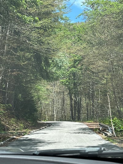 The image shows a winding asphalt road through a dense forest. The road is bordered by trees on both sides, with the foliage appearing lush and green, suggesting a temperate climate. The trees are tall and slender, with some reaching high into the sky, creating a canopy that partially shades the road. Sunlight filters through the leaves, casting dappled shadows on the asphalt. A guardrail is visible on the right side of the road, and a wooden post stands nearby. The sky above is partly cloudy, with patches of blue visible between the trees. The scene appears tranquil and natural, likely a rural or mountainous area. The image is taken from the perspective of someone inside a vehicle, as evidenced by the dashboard in the foreground.