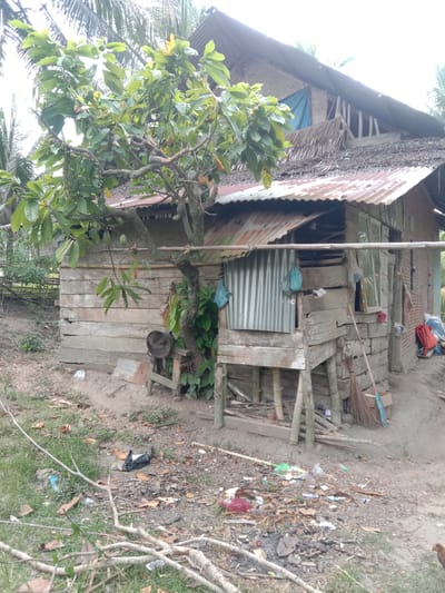 The image depicts a rural scene in Gampong Teungoh, Indonesia, focusing on a rustic wooden dwelling. The house has a corrugated metal roof and walls constructed from weathered wooden planks. In front of the house, a tree with large green leaves and visible green fruit is prominent. There is a small elevated structure in front of the house, also made of wood, with some corrugated metal sheeting and hanging blue bags. A broom leans against the structure. The ground around the house is a mixture of dirt and dry leaves, with some scattered debris including plastic bags and a piece of tile. The overall impression is one of a simple, possibly impoverished, rural dwelling and its immediate surroundings.