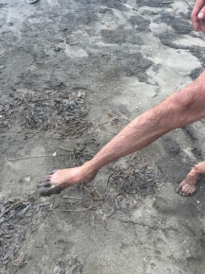 The image shows a person's leg and foot covered in dark mud, which appears wet and gritty. The foot is stepping on what looks like wet sand or mud. There are some dried seaweed or plant debris scattered on the ground around the leg and foot. The ground is a mixture of wet sand, mud, and some darker, crackled patches that could be dried mud. The overall environment seems to be a beach or a muddy shoreline. There is no indication of the city of Pravda, Russia, or any other specific location. The focus is on the texture and condition of the mud and the person's leg and foot.