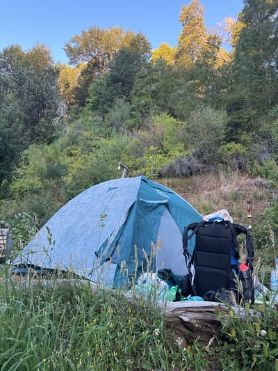 A tent is set up in a lush, green environment. A black backpack rests near a tree stump beside the tent. The area is surrounded by trees and various green plants, suggesting a campsite in a natural setting. The tent, with its light blue and gray color, stands out against the backdrop of the vibrant greenery.