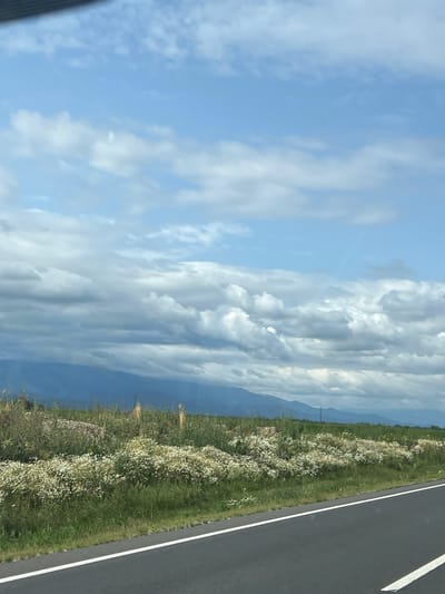 The image shows a scenic view of the Romanian countryside near Cârța. In the foreground, a paved road with a white line marking runs diagonally across the bottom right of the frame. To the left of the road, a grassy verge is visible, leading to a field filled with white wildflowers and green foliage. In the background, rolling hills and mountains are shrouded in a blue haze, with a dramatic sky filled with both light and dark clouds overhead. The overall impression is one of natural beauty and open space.