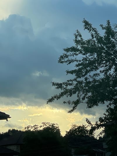 The image shows a sky with dark, looming clouds and patches of bright yellow light breaking through. A tree branch with dark green leaves hangs down from the top left. The silhouette of a building and trees is visible on the right side of the image. The scene appears to be in an outdoor location with visible buildings, though the specific location in Zhaltusha, Bulgaria is not discernible from the image alone. There are no people visible.