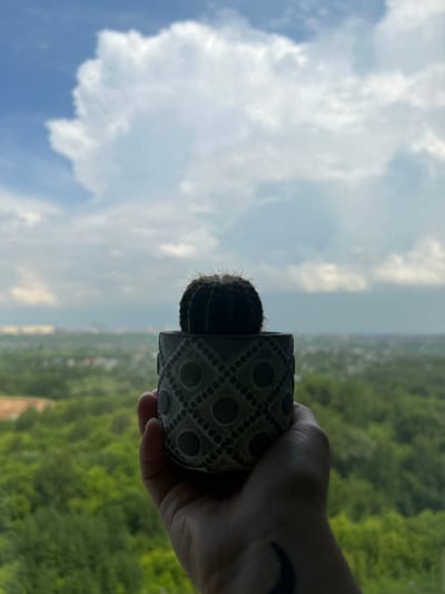 A hand holds a small potted cactus in front of a window. The cactus is dark green and spherical with visible spines, and it sits in a textured gray pot. Through the window, a hazy landscape of green trees and distant buildings is visible under a cloudy sky. The scene is likely located in the city of Ankidinovka, Russia.