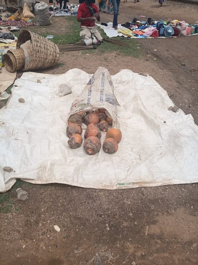 The image depicts an outdoor market scene in Tilde, Nigeria. In the foreground, a large white tarp is spread on the ground, with a pile of tubers, some appearing to be yams, spilling out of a torn burlap sack labeled "DANGOTE SUGAR 50KG NET WEIGHT". Several tubers are scattered on the tarp and the ground around it. To the left of the tarp, two woven baskets of varying sizes are placed on the ground. In the background, a person in a red shirt and beige pants is kneeling, seemingly engaged in some activity. Further back, the ground is covered with various goods laid out on cloths, including clothing and bags, suggesting a marketplace with vendors. The environment appears to be an unpaved area, characteristic of many open-air markets.