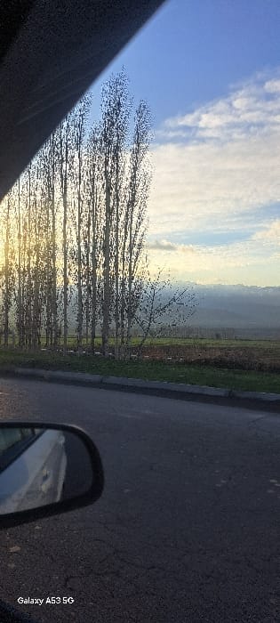 The image displays an outdoor, semi-rural scene in Kaparta, Uzbekistan, captured from inside a vehicle. A prominent line of tall, slender, bare deciduous trees stands across the mid-left, partially obscuring a low sun that creates a bright flare on the left. The sky above is mostly clear blue with scattered white clouds, particularly to the upper right. Beyond the trees, a field with varying green and brown vegetation extends towards a hazy mountain range visible in the distant background. The immediate foreground features a dark asphalt road exhibiting minor surface cracking, bordered by a narrow strip of green grass and a curb. In the lower left corner, a black-framed vehicle side mirror is visible, reflecting a portion of a light-colored vehicle body. No people or animals are present. The lighting suggests early morning or late afternoon. "Galaxy A53 5G" is visible in the bottom left.