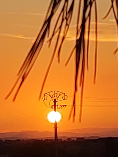 The image shows a sunset in Sobradillo, Spain. The sun is setting behind a power line pylon, casting a warm orange glow over the landscape. The sky is a gradient of orange and yellow, with darker clouds on the horizon. The pylon is silhouetted against the sky, with its wires extending outwards. In the foreground, there is a dark silhouette of trees or branches, which partially obscure the view of the sun and pylon. The landscape below the horizon is also dark and indistinct.