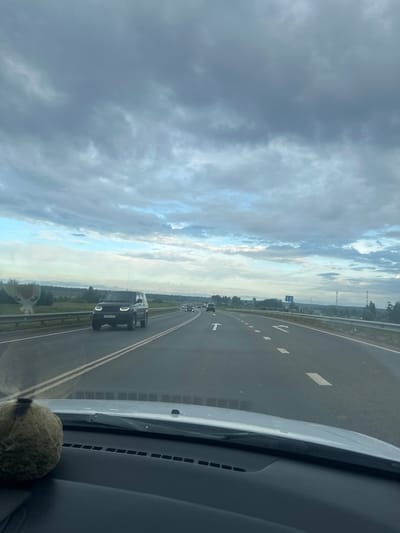 An eye-level, forward-facing shot from inside a vehicle shows a view of a highway under a cloudy sky. The highway has multiple lanes marked with white lines. Several cars are on the road, moving in the same direction. On the right side of the highway, there is a guardrail and vegetation. In the distance, there are trees and what appear to be communication towers. A fuzzy, spherical object is visible on the dashboard in the lower left corner of the frame. The image is taken in Vorya-Bogorodskoe, Russia.