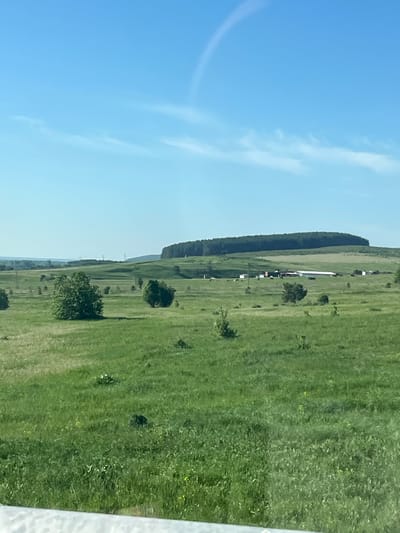 The image depicts a rural scene in Тарасово, Russia. It shows a field of green grass under a blue sky with some wispy clouds. A line of trees runs along the edge of the field. A structure is visible in the distance, seemingly a glider. Power lines run along the field. There are some small trees scattered in the field.
