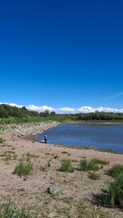 A person stands on the sandy shore of a lake, fishing. The water is a deep blue, reflecting the bright blue sky. The shore is lined with rocks and sparse green grass. In the background, a dense line of trees and bushes forms a natural barrier. The sky is clear with a few wispy white clouds on the horizon. The image appears to be taken on a sunny day. The location is the city of Kaporskoe, Russia.