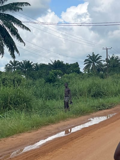 This image captures a daytime scene in a rural or semi-rural environment, consistent with Aghalokpe, Nigeria. The photograph appears to be rotated 90 degrees counter-clockwise.

In the mid-ground, a person, likely male, stands partially obscured by tall, dense green grass. He has dark skin, is shirtless, and wears dark shorts or a wrap around his lower body. His left arm is slightly raised, but his exact activity or what he might be holding is unclear.

To the right of the person and the grass, a wide, reddish-brown dirt road runs horizontally across the frame. Along the edge of the road, a long, reflective puddle of water or a wet patch is visible, suggesting recent rainfall.

The background is filled with lush tropical vegetation, including numerous tall palm trees and other dense green trees, indicative of a warm climate. Above the treeline and across the sky, several utility poles with multiple power lines stretch. The sky is largely overcast with large, fluffy white and gray clouds, though some patches of blue sky are visible, indicating a cloudy but bright day. There is no visible text within the image.