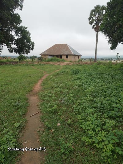 This is a photograph of a rural scene in Doka-Tofa, Nigeria. A dirt path leads through a grassy field towards a building with a corrugated metal roof. The building appears to be a house or other simple structure, with unpainted walls. A tall palm tree stands to the right of the building, and other trees and vegetation are visible in the background. The sky is overcast, and the overall impression is one of a quiet, undeveloped rural environment. There are no people visible in the image, but a few white animals, possibly goats or sheep, are scattered in the field near the building. A portion of the image is watermarked with "Samsung Galaxy A03".