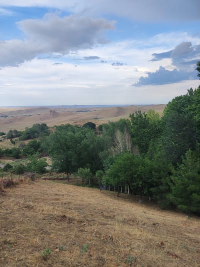 The image depicts a panoramic view of a semi-arid landscape under a partly cloudy sky. In the foreground, dry, golden-brown grass covers a sloping hill. A line of green trees, some with white trunks, runs along the middle ground, creating a distinct transition from the dry foreground to a more vegetated area. Behind these trees, the landscape opens up to rolling hills of dry grass and scattered vegetation, stretching towards a hazy horizon. In the far distance, faint mountains are visible. The sky is a mix of blue and white clouds, with some darker, heavier clouds suggesting possible rain or a dynamic weather system. Utility poles are visible in the middle ground, indicating some human presence or infrastructure. The overall scene evokes a sense of natural beauty and vastness, possibly during late afternoon or early evening given the soft light and cloud formations. There is no visible text in the image. The location is identified as Egizbulak, Uzbekistan.
