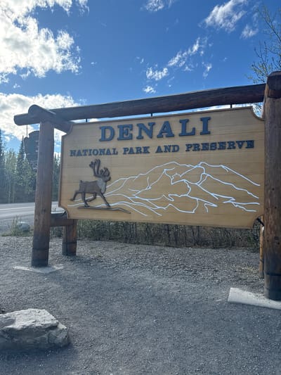 A large, rustic wooden sign for "DENALI NATIONAL PARK AND PRESERVE" is prominently displayed under a clear, bright blue sky dotted with scattered white clouds. The sign, made of light-colored wooden planks, features dark blue raised lettering spelling out the park's name vertically along the left side. To the right of the text, a white outline resembling a mountain range is etched into the wood, and a three-dimensional carving of a caribou or moose with large antlers is affixed below the mountains.

The sign is supported by two sturdy, dark-stained wooden posts. The immediate foreground consists of a grey gravel surface, with a large, light grey rock positioned on the right side of the frame. In the background, green foliage, likely trees and shrubs, suggests a natural, forested environment, and a paved road is partially visible beyond the sign. The image captures a serene, sunlit day at the entrance of the renowned Denali National Park in the United States, emphasizing the park's identity and natural character. No human activity is present, allowing the focus to remain on the welcoming sign and its wild setting.