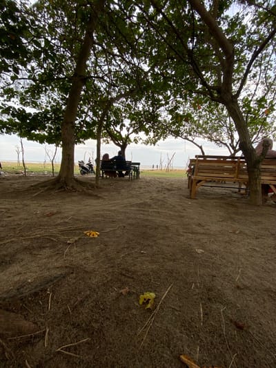 The scene depicts an outdoor recreational area in Kualaidi, Indonesia, under an overcast sky. The foreground consists of dark sandy earth with exposed tree roots and scattered yellow foliage debris. Several mature trees with dense green canopies frame the central view, providing shade.
In the midground, towards the left, two individuals are seated at a dark wooden table with attached benches, positioned with their backs to the camera, facing the distant water. One individual appears to wear a head covering. Immediately behind their seating area, a white scooter-style motorcycle is parked. To the right, a lighter wooden bench is partially visible, occupied by a single individual, also with their back to the camera, wearing a light-colored head covering.
Beyond the shaded area, a strip of open ground, sparsely covered with vegetation, extends to a body of water. Several small, indistinct human figures are visible near the water's edge in the far distance. The sky above the water is a pale, diffused grey, indicative of overcast conditions.