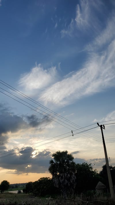 This is a vertical, eye-level, full shot of a rural landscape in Dzhu'a-Khore, Nigeria, during a late afternoon or early evening. The sky is a dominant feature, with a gradient of blue at the top transitioning to lighter hues near the horizon, painted with wispy white clouds that catch the fading sunlight. Four parallel power lines stretch horizontally across the middle of the frame, supported by a utility pole on the right. The pole has two dark bird-like figures perched on its crossbars. In the foreground, the landscape is a mix of dry earth, sparse vegetation, and a dense line of trees and foliage. A prominent, large palm tree with desiccated fronds stands to the left of center. To its right, nestled amongst the trees, is a small, conical thatched hut. In the distance, the land slopes down to a body of water, with more trees dotting the horizon. The sunlight filters through a cluster of dark clouds on the left side of the image, casting rays onto the landscape and creating a dramatic contrast with the brightly lit sky above. The scene depicts a tranquil, possibly agrarian, environment.