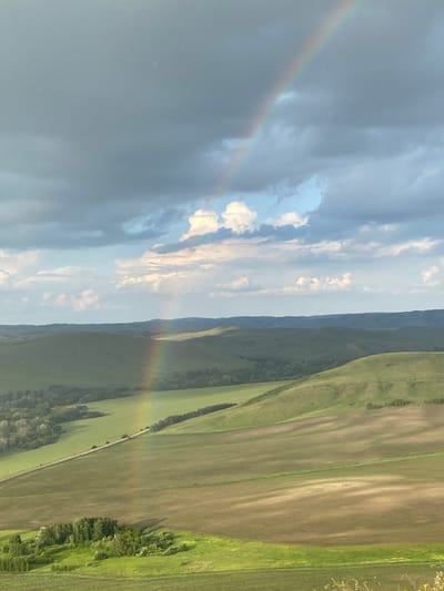 The image depicts a wide, panoramic view of a rural landscape. The sky is a mixture of dark, ominous clouds and lighter, scattered clouds, with a bright rainbow arching across the upper portion of the frame. Below the sky, rolling green hills dominate the scene, with fields of varying shades of green and brown indicating agricultural use. A road is visible winding through the landscape, bordered by a line of trees. In the foreground, there is a cluster of trees. The overall impression is one of a natural, serene, and somewhat dramatic scene, likely captured after a rain shower, given the presence of the rainbow and the darker clouds. The location is specified as Petrovskoye, Russia.
