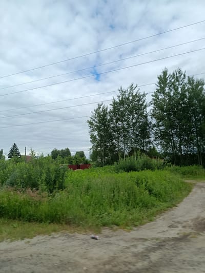 This is a photograph taken in Тополиный, Russia, showing a rural landscape under a cloudy sky. The scene is dominated by lush green foliage and tall trees, with a dirt road winding through the foreground. In the distance, there are hints of human habitation, including red-roofed buildings and a red metal fence, suggesting a village or scattered homesteads. Several power lines crisscross the sky, indicating the presence of infrastructure.
The weather appears overcast, with a mix of gray clouds and a few patches of blue sky. The time of day is not explicitly indicated, but the lighting suggests it could be midday or late afternoon. The overall impression is one of a serene, natural environment with signs of rural life. There are no people or explicit activities depicted in the image, but the presence of the road and buildings implies human presence and daily life. No visible text is present in the image.