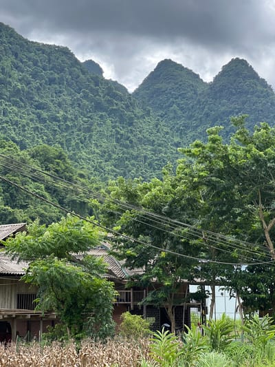In Thuận Hòa Commune, Vietnam, a cluster of houses with corrugated roofs is nestled at the base of verdant, tree-covered mountains under a heavy, overcast sky. Power lines crisscross the scene, stretching across the foreground and obscuring parts of the houses and the lush vegetation. In front of the houses, dry corn stalks create a textured layer, contrasting with the vibrant green of the trees and the distant, densely forested slopes. The overall impression is one of a rural, possibly humid environment, with human settlement existing in close proximity to a dominant natural landscape.
