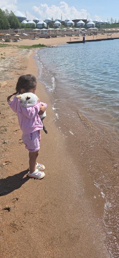In Sary-Oy, Kyrgyzstan, a young girl with braided dark hair is standing on a sandy beach, holding a white cat. She is wearing a pink hooded sweatshirt and pink shorts, with white sandals on her feet. The cat is nestled in her arms, with its head resting on her shoulder. The beach is next to a body of water, likely Issyk-Kul Lake, with gentle waves lapping at the shore. In the background, there is a resort area with yurt-like structures, umbrellas, and lounge chairs. The sky is partly cloudy, and the sun is shining. The overall scene depicts a serene moment between a child and her pet on a sunny day at the resort.