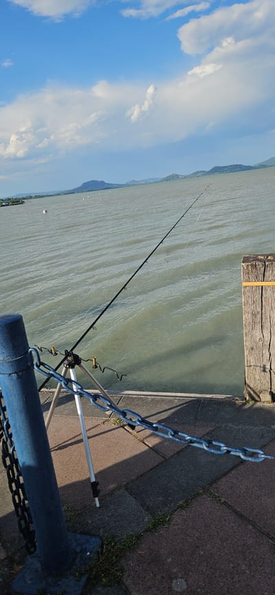 The image captures a serene lakeside scene with a fishing rod set up on a tripod, poised over the water. The fishing rod is black with a white fishing line extending into the murky green water. A blue metal post with a chain attached stands to the left of the tripod. To the right, a weathered wooden post with a yellow band serves as a boundary marker. The foreground consists of a paved walkway made of interlocking gray and reddish-brown stones, with patches of grass growing between them. In the background, the calm lake stretches towards a distant, hazy shoreline with rolling hills and mountains under a bright blue sky dotted with fluffy white clouds. The overall atmosphere is peaceful and quiet, suggesting a solitary fishing activity. The location is identified as Balatongyörök, Hungary, a resort town situated on the northern shore of Lake Balaton.