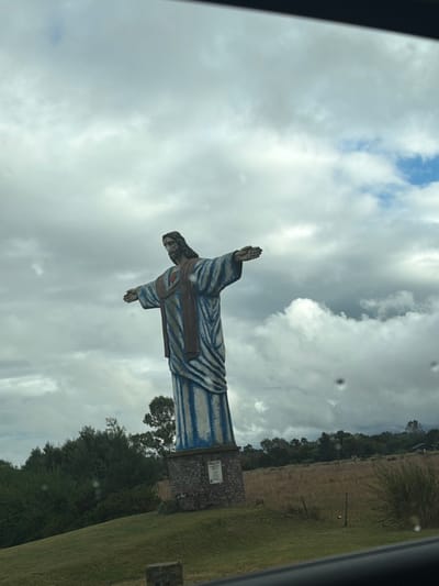 A large statue of Jesus Christ, approximately 10-12 meters tall, is depicted against an overcast sky with patches of blue. The statue is predominantly blue with white vertical stripes on the lower robe and a dark reddish-brown stole across its chest. Its arms are outstretched horizontally, and its head is slightly tilted, featuring a beard and long hair. The statue stands on a multi-tiered stone base with two light-colored rectangular plaques affixed to its front.

The scene is situated on a grassy, gently sloping hillside. Dense green foliage and trees are visible to the left and directly behind the statue. To the right, a dry, yellowish-brown field with sparse brush extends into the distance, with more trees at the horizon. The image appears to be captured from inside a vehicle, evidenced by a dark horizontal frame component across the bottom edge. Several small, dark, amorphous spots, consistent with debris on a lens or window, are scattered across the image, predominantly in the sky and mid-ground. This statue is located in General Juan Madariaga, Argentina.