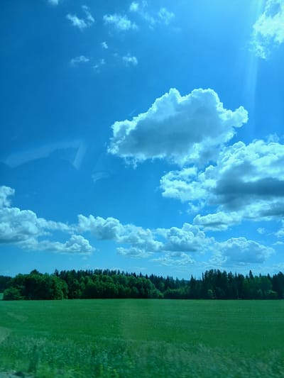 The image shows a vast, bright green grassy field with a dense line of trees forming the horizon. Above the trees, the sky is a vibrant blue, dotted with fluffy white clouds. The sun is visible in the upper right corner, casting a bright light and creating a sunbeam effect. The scene appears to be a rural landscape in Perevoznoye, Russia, likely captured on a clear day.