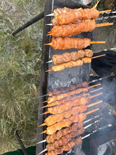 This media file shows skewers of meat cooking over coals on a grill. The scene appears to be outdoors, with dry grass and scrub in the background, consistent with a location in Kazakhstan. Smoke rises from the grill, indicating the cooking process is underway. The meat on the skewers varies in color and texture, suggesting different types of meat or marinades. Some skewers contain pieces of chicken, while others appear to be beef or lamb. The grill itself is a simple, rectangular metal structure, supported by metal legs, placed on the ground. A person is partially visible in the upper right corner, wearing dark clothing and tending to the grill. The lighting suggests it is daytime, possibly late morning or afternoon, with no strong shadows visible. The overall impression is one of an outdoor barbecue or a traditional Kazakh cooking event. No text is visible in the image.