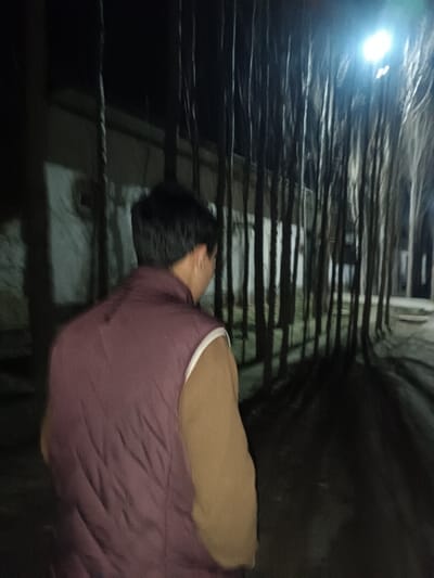 A person in a maroon vest and brown sweater walks away in a nighttime street. Tall, thin trees line the right side of the street, casting long shadows. A building is visible on the left. A bright light source is present in the distance. The scene has a dark, slightly blurred atmosphere.