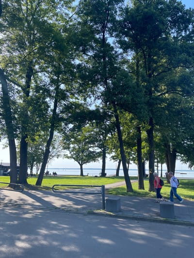 This image captures a sunny day at the Steinhuder Meer in Wunstorf, Germany. In the foreground, a paved walkway runs alongside a grassy park area. Two women are walking on the walkway, with one wearing a red shirt and the other a white and blue shirt. Behind them, several large trees with lush green leaves provide shade. In the distance, a calm body of water, likely the Steinhuder Meer, is visible with sailboats on the horizon. The scene suggests a leisurely afternoon in a public park by the lake.
